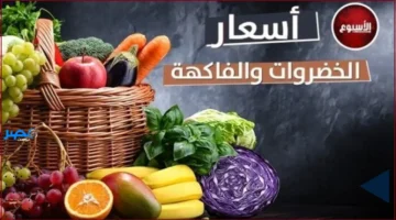 أسعار اليوم.. تحديث مفصل لأسعار الخضروات والفاكهة الأحد 5 أكتوبر 2025